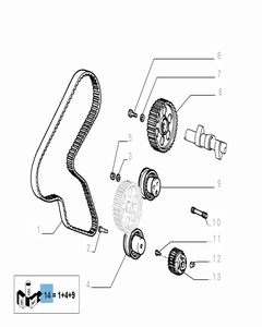 Kit de distribution (courroie, tendeur de courroie fixe et réglable) - 3 pc pour Fiat et Fiat Professional
